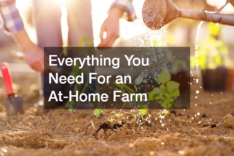 Everything You Need For an At-Home Farm